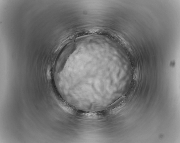 X0000093590524200711121128