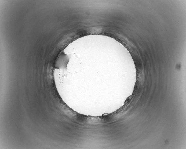 X0000093590525200711121127