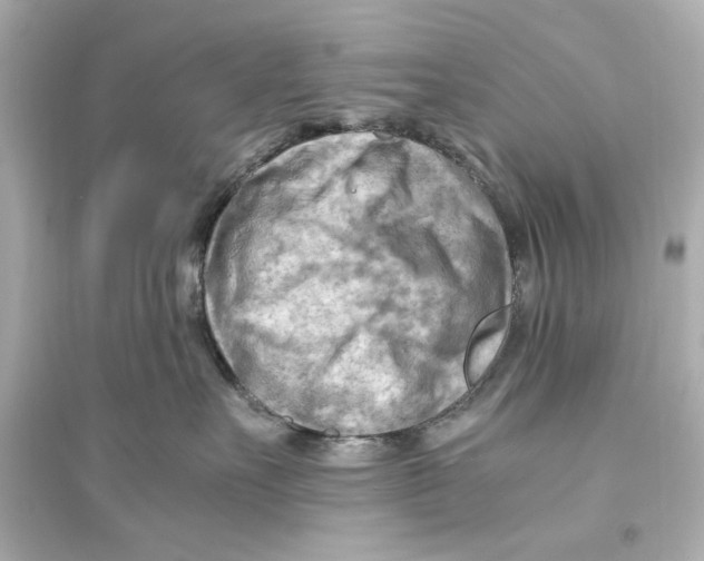 X0000093590527200711121127