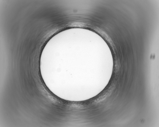 X0000093590529200711121126
