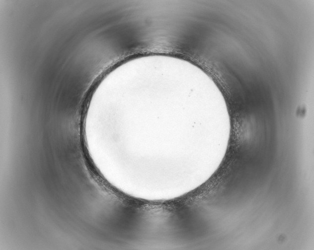 X0000093590534200711121127