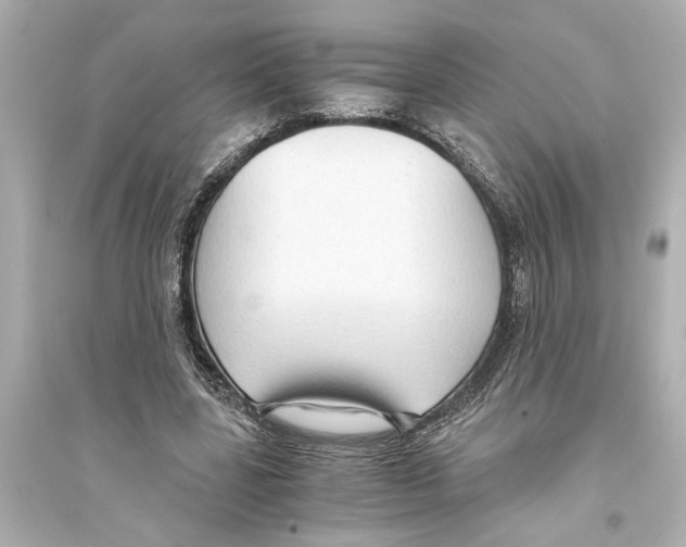 X0000093590539200711121127