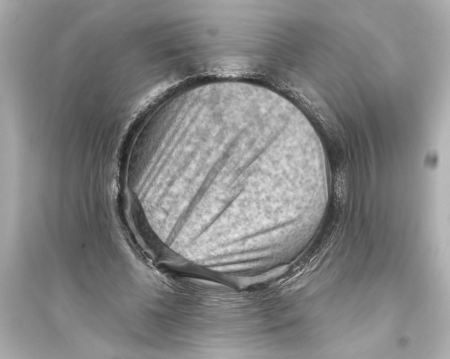 X0000093590540200711121127