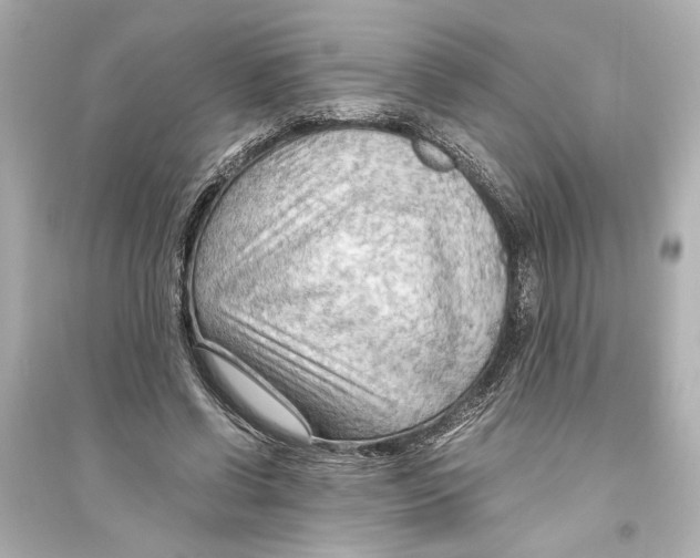 X0000093590542200711121127