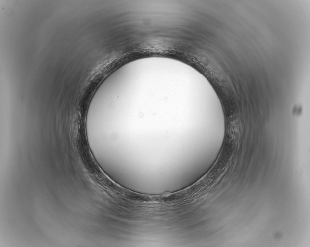 X0000093590544200711121127