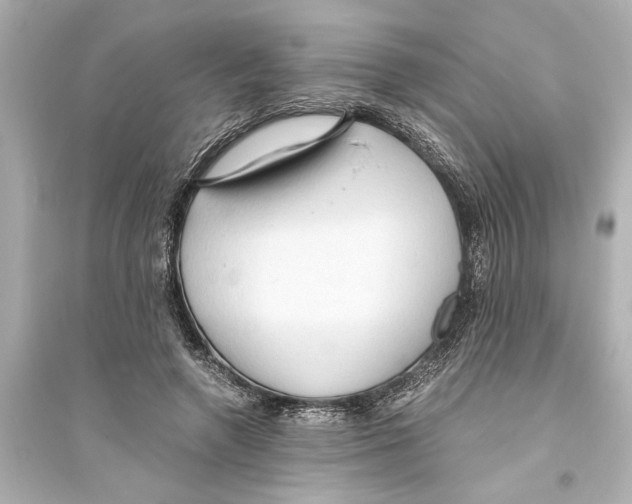 X0000093590546200711121127