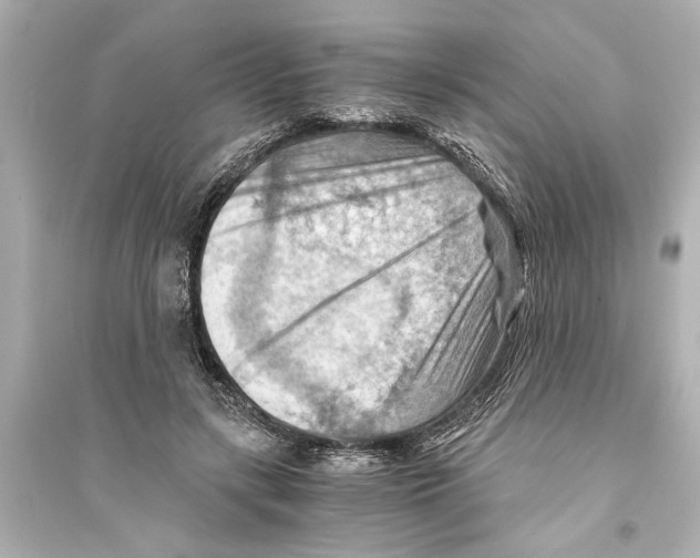 X0000093590547200711121127