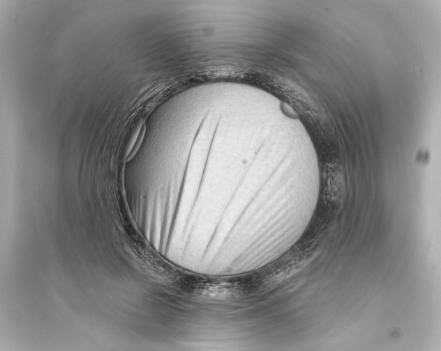 X0000093590550200711121127