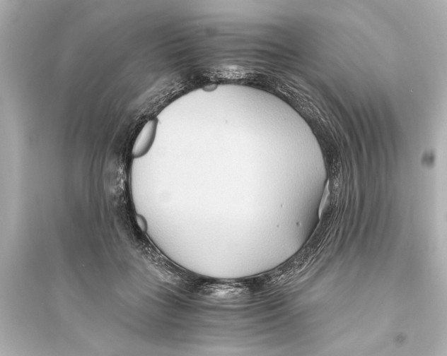 X0000093590555200711121127