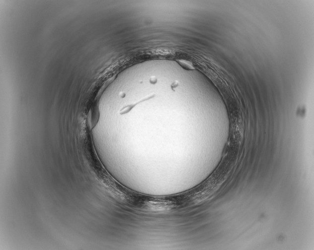 X0000093590556200711121127