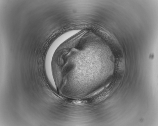 X0000093590558200711121127