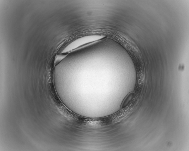 X0000093590560200711121127