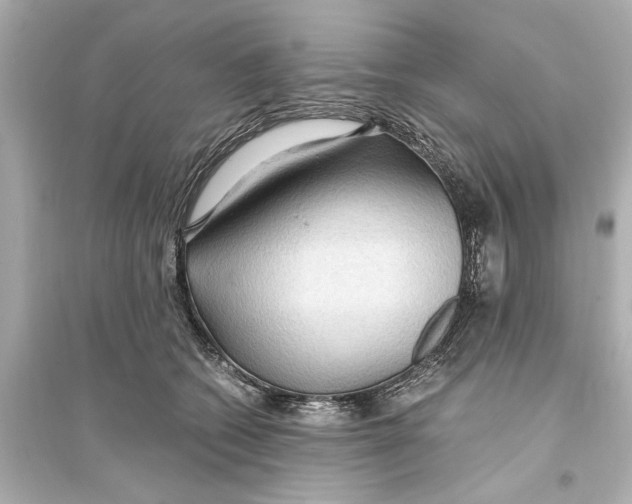 X0000093590562200711121127