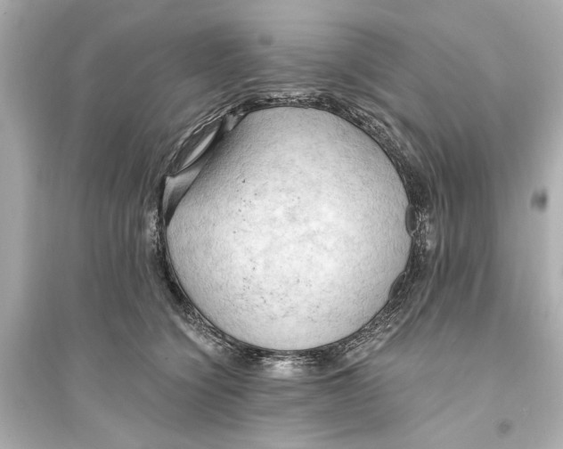 X0000093590564200711121127