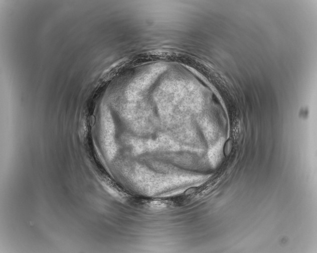 X0000093590566200711121127