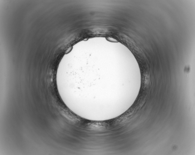 X0000093590567200711121127