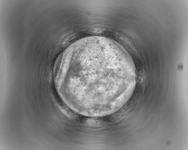 X0000093590568200711121127