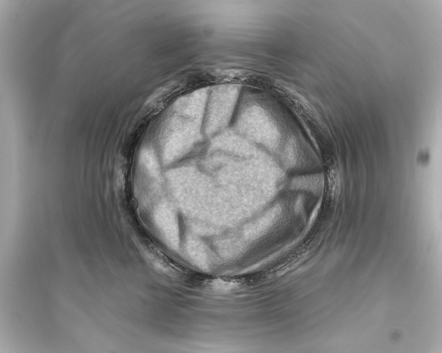 X0000093590570200711121127