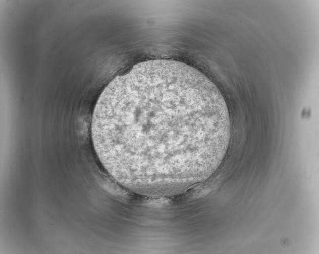 X0000093590576200711121127
