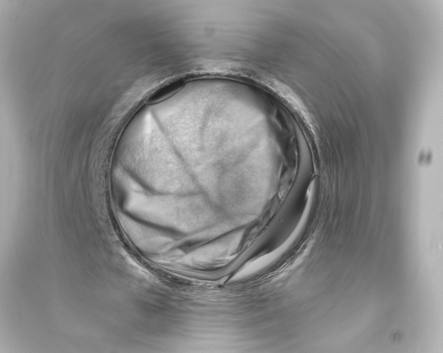 X0000093590577200711121126