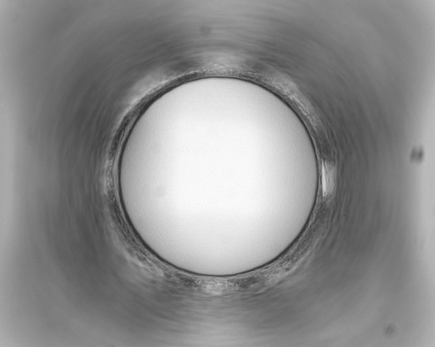 X0000093590579200711121126