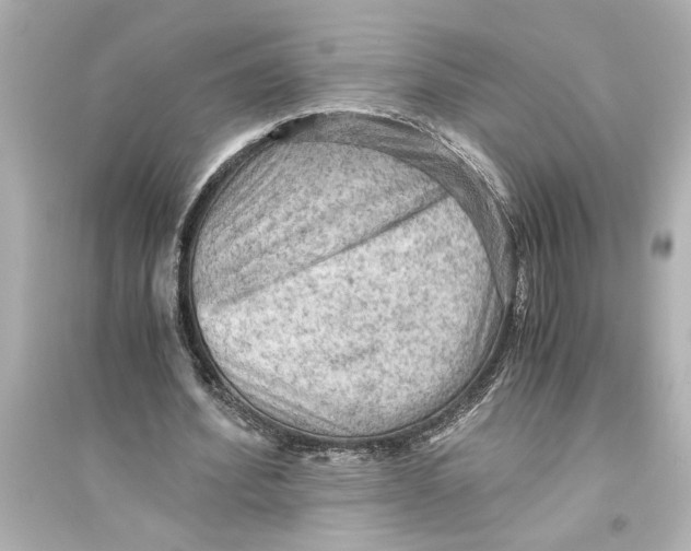 X0000093590580200711121126