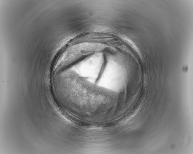 X0000093590581200711121126