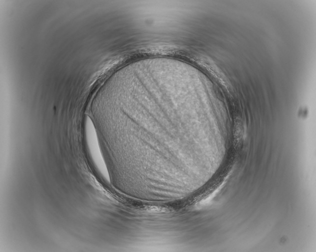 X0000093590585200711121126
