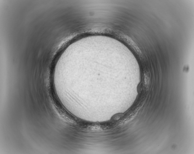 X0000093590588200711121126