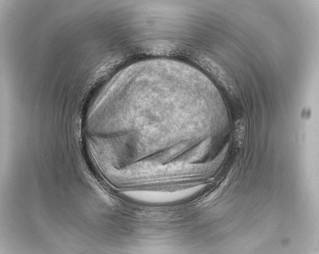 X0000093590589200711121126