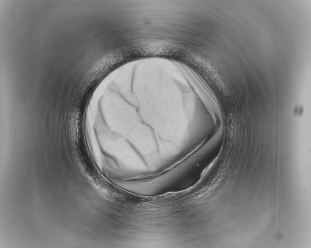 X0000093590590200711121126