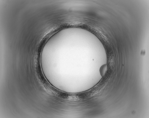 X0000093590591200711121126