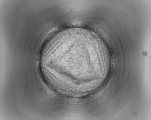 X0000093590593200711121126