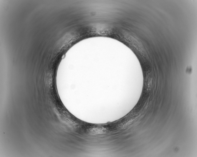 X0000093590595200711121126