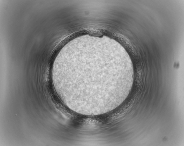 X0000093590596200711121126