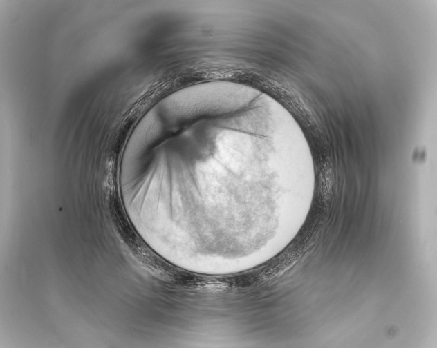 X0000093590598200711121126