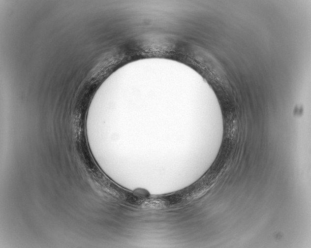 X0000093590599200711121126