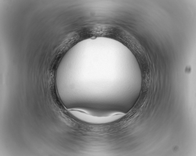 X0000093590601200711121126