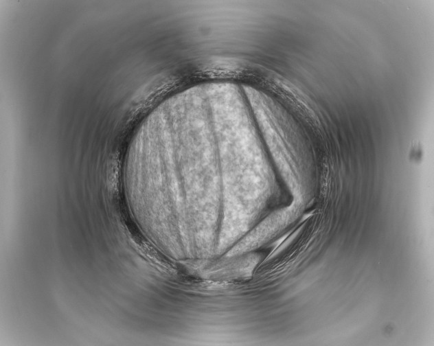 X0000093590604200711121126