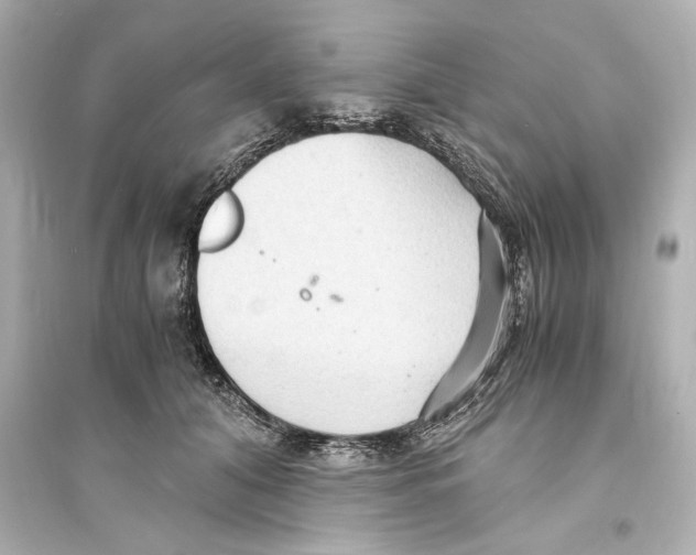 X0000093590608200711121126