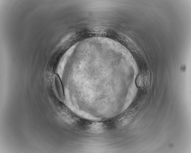 X0000093590609200711121126