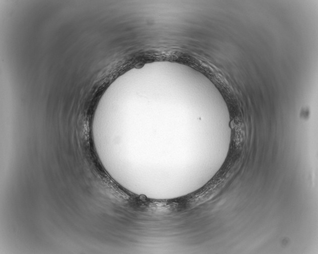 X0000093590613200711121126