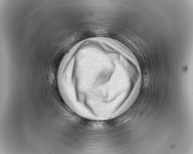 X0000093590618200711121126