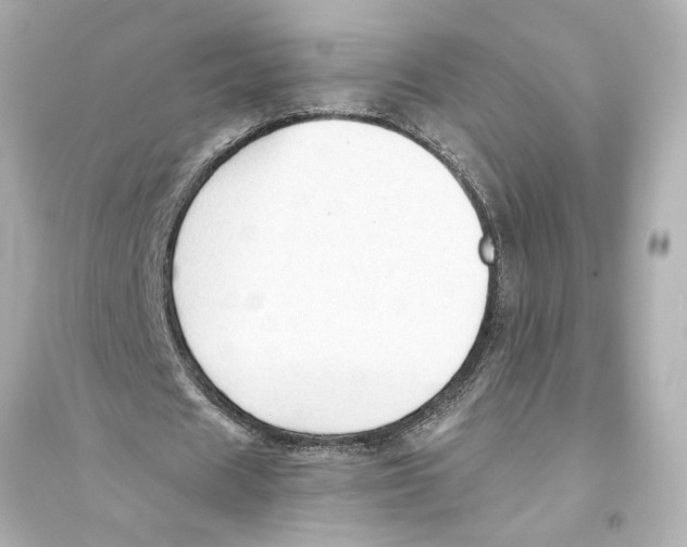 X0000093590625200711121125