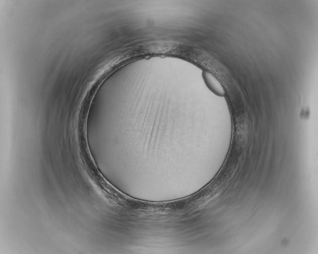X0000093590626200711121125