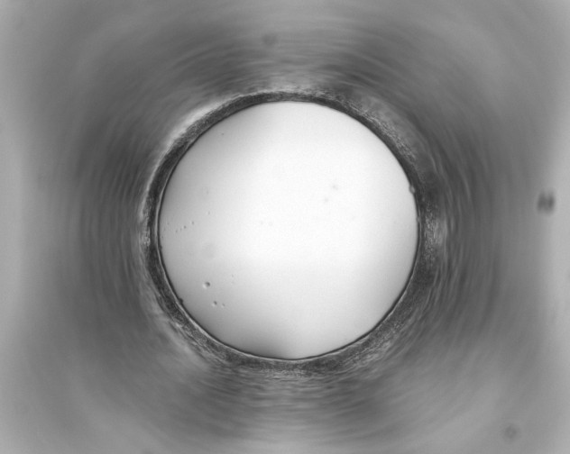X0000093590628200711121125