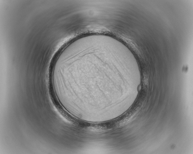 X0000093590630200711121125