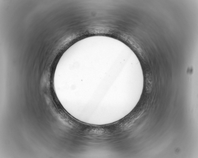 X0000093590631200711121125