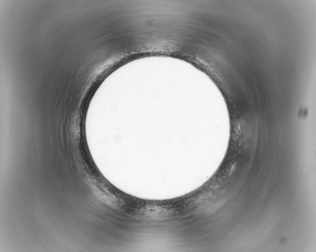 X0000093590632200711121125