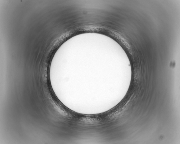 X0000093590633200711121125